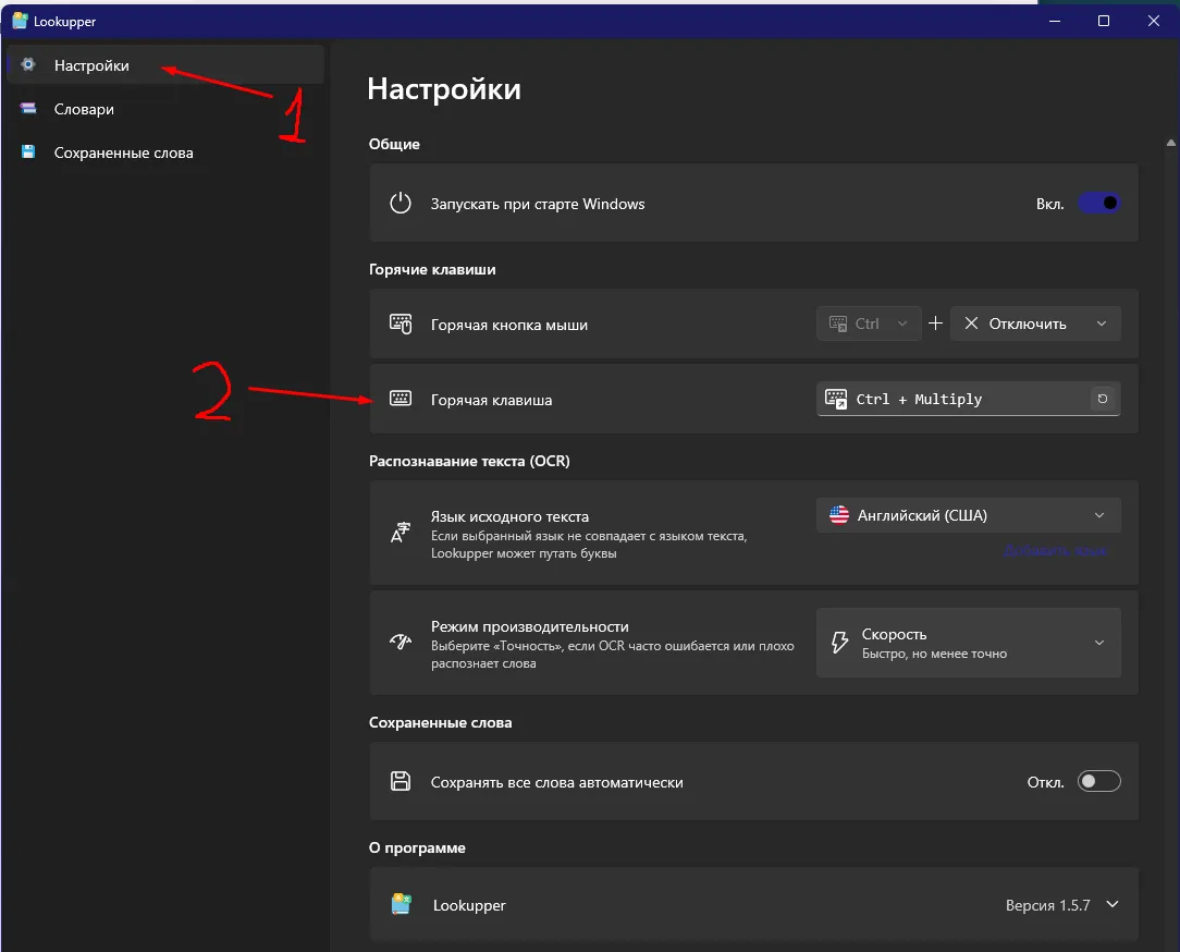 Настройки Lookupper, где назначена горячая клавиша Ctrl + Multiply